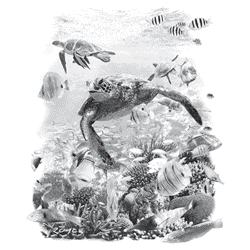 TURTLE 09958SA2.gif
